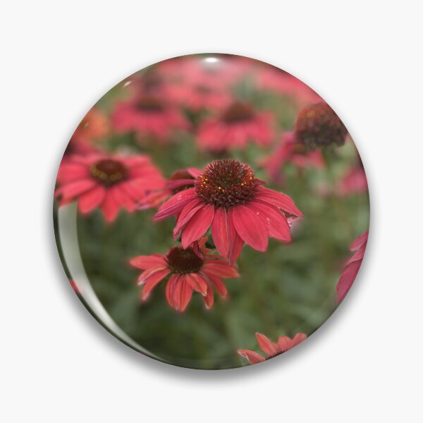 Item preview, Pink Coneflowers designed and sold by Bloom-N-Blossom.