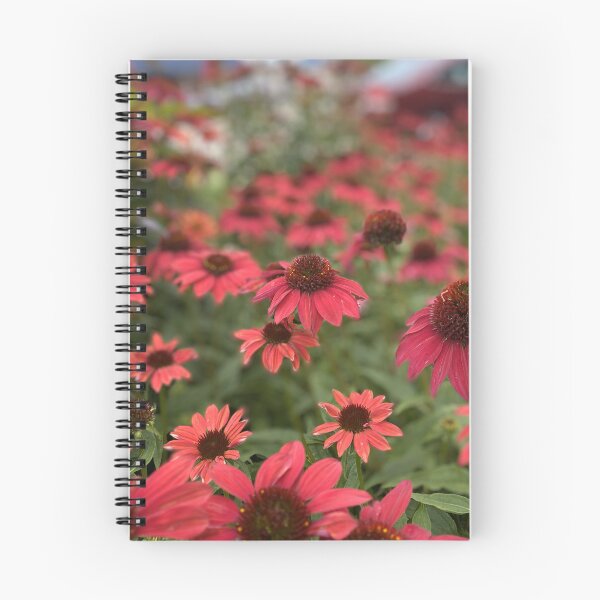 Item preview, Pink Coneflowers designed and sold by Bloom-N-Blossom.