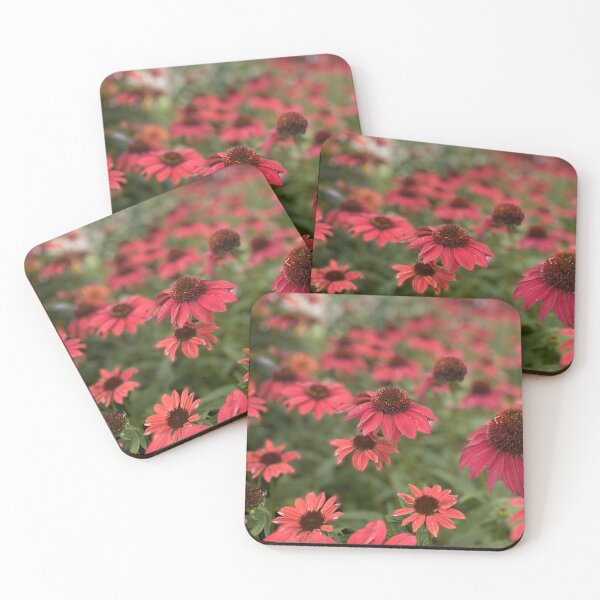 Item preview, Pink Coneflowers designed and sold by Bloom-N-Blossom.