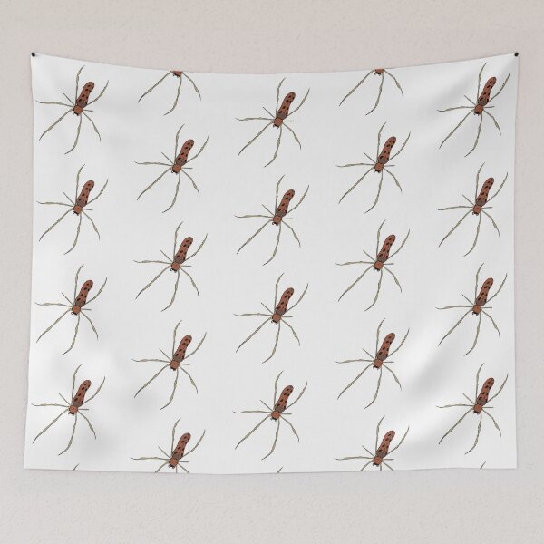 Item preview, Long Leg Brown Spider designed and sold by CreativeDraws42.