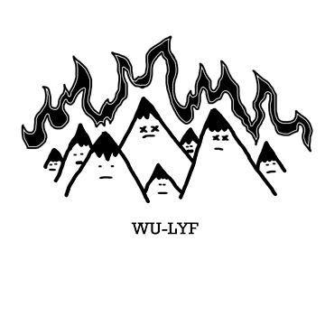 wu lyf t shirt