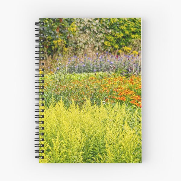 Item preview, Goldenrods, Heleniums & Other Plants Design - Kew Gardens - English Gardens designed and sold by LucaRocchini.