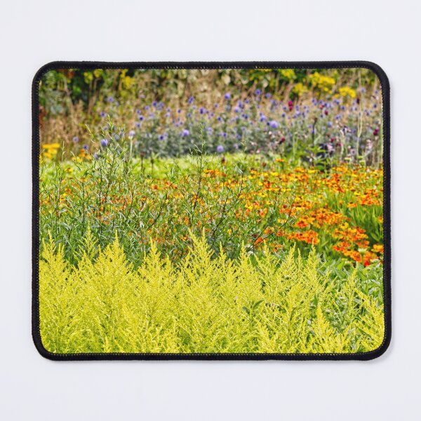 Item preview, Goldenrods, Heleniums & Other Plants Design - Kew Gardens - English Gardens designed and sold by LucaRocchini.