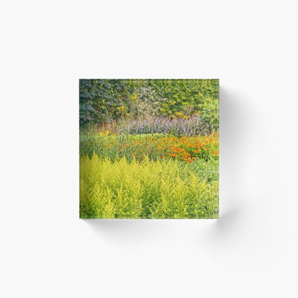Item preview, Diseño de varas de oro, helenios y otras plantas - Kew Gardens - English Gardens designed and sold by LucaRocchini.