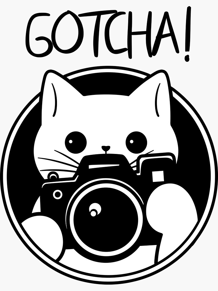 Sticker for Sale avec l'œuvre « Chat drôle avec caméra, Gotcha