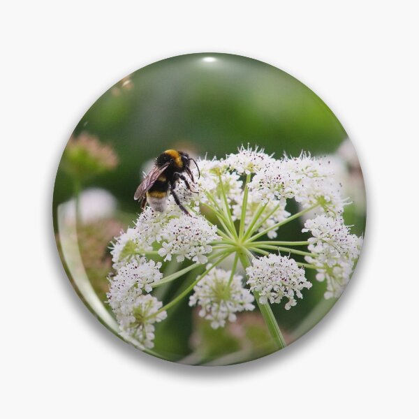 Item preview, Busy Bee designed and sold by akf-photography.