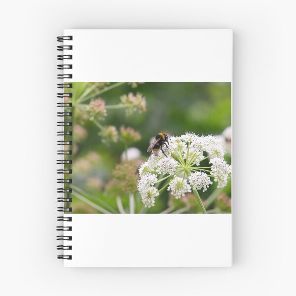 Item preview, Busy Bee designed and sold by akf-photography.