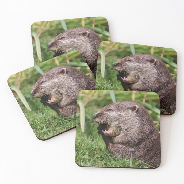 Item preview, Squinting in the sun designed and sold by akf-photography.