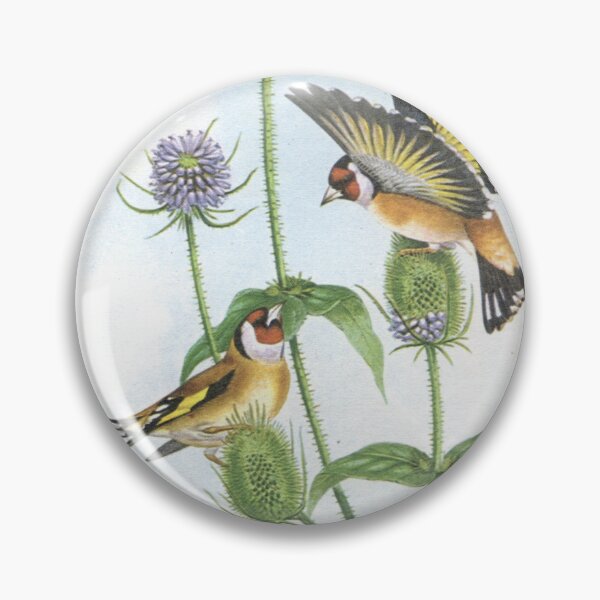 Item preview, Pair of Goldfinches. From an original painting by John Gould. designed and sold by mindwarp2000.