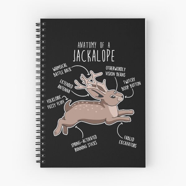 Aperçu de l'œuvre Anatomie du Jackalope créée et vendue par Clara Hollins.