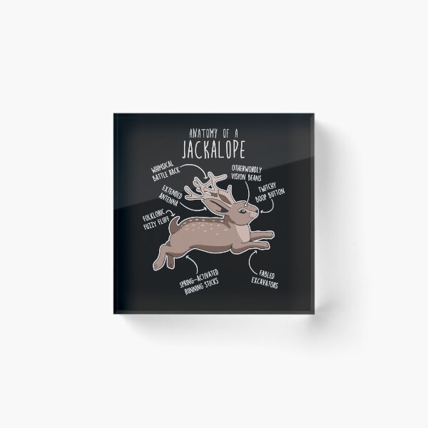Item preview, Jackalope Anatomy designed and sold by Clara Hollins.