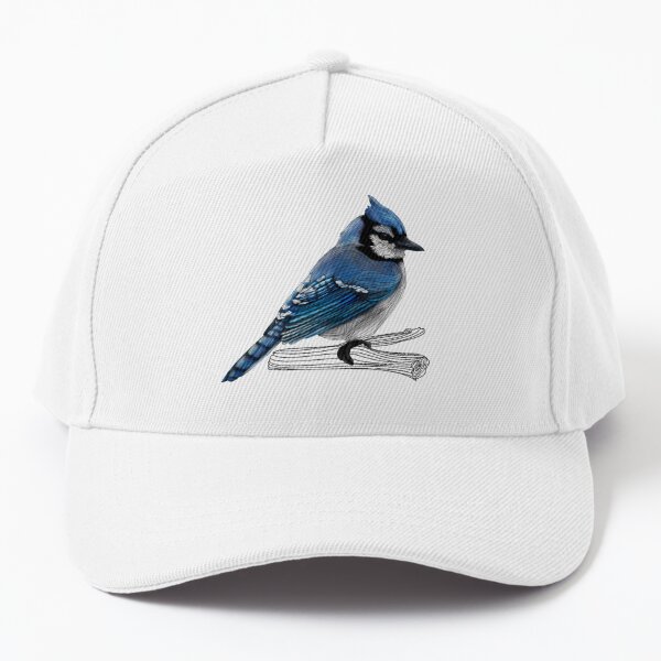 Blue Jay, Accessories, Blue Jay Winter Hat And Stickers