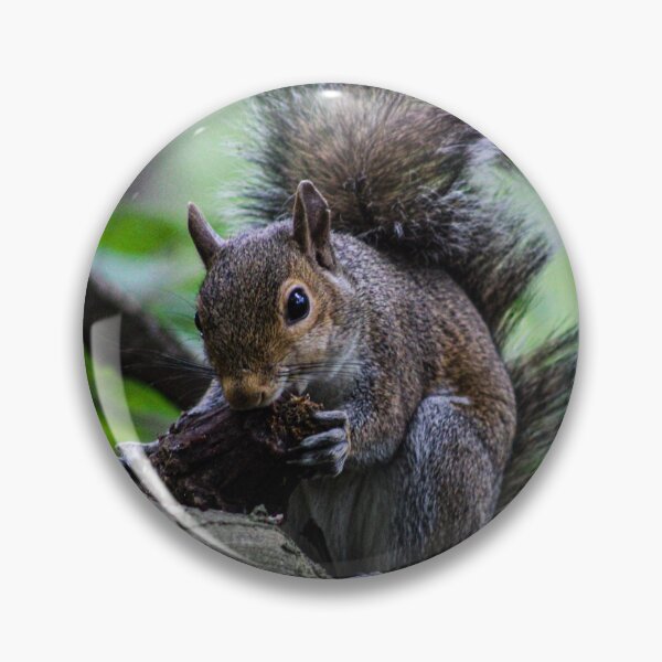 Item preview, Squirrel designed and sold by FirebrandFoxx.