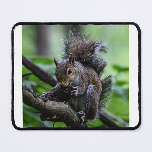 Item preview, Squirrel designed and sold by FirebrandFoxx.