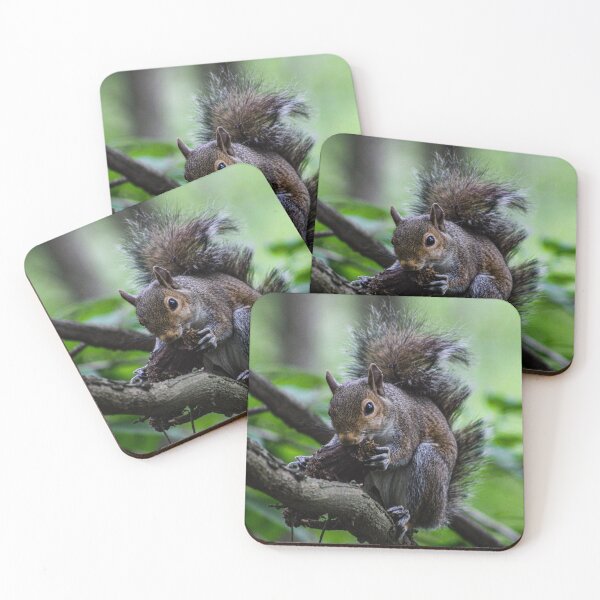 Item preview, Squirrel designed and sold by FirebrandFoxx.