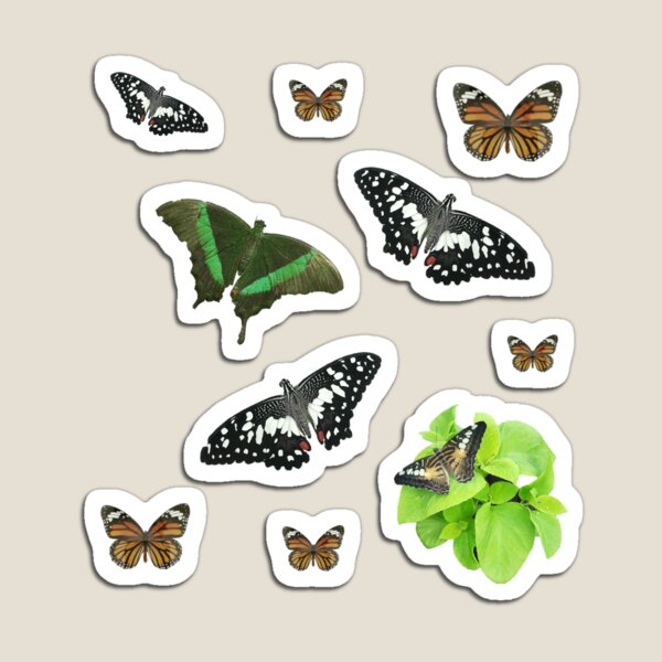 Item preview, Multi Mini Butterfly Sticker Pack designed and sold by ghost-becca.