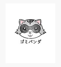 Vintage Kawaii Cute Raccoon Trash Panda Photographic Print