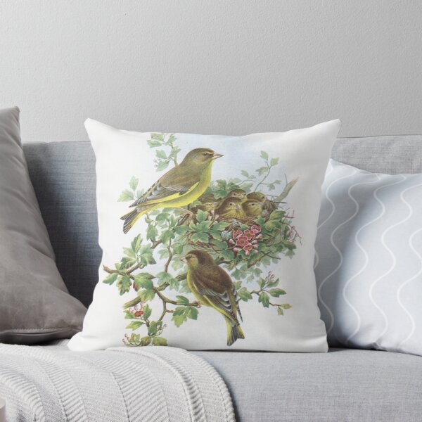 Item preview, Pair of Greenfinch at nest. John Gould's Birds.. designed and sold by mindwarp2000.