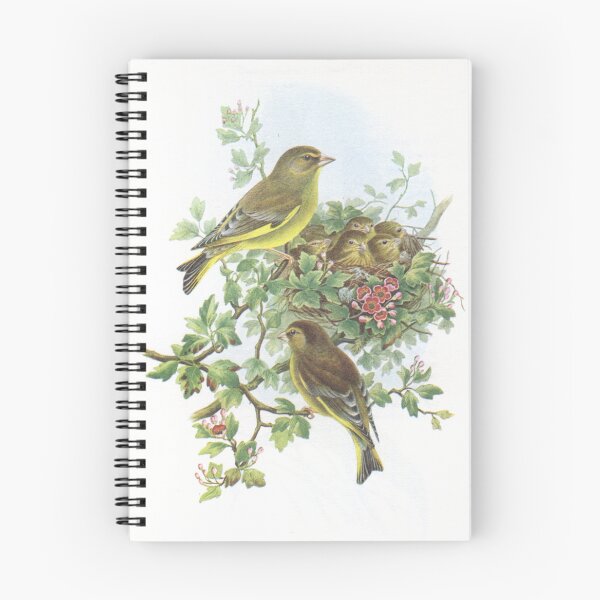 Item preview, Pair of Greenfinch at nest. John Gould's Birds.. designed and sold by mindwarp2000.