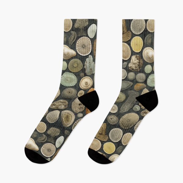 Item preview, Fossil collection I designed and sold by TheLandsOfMagic.