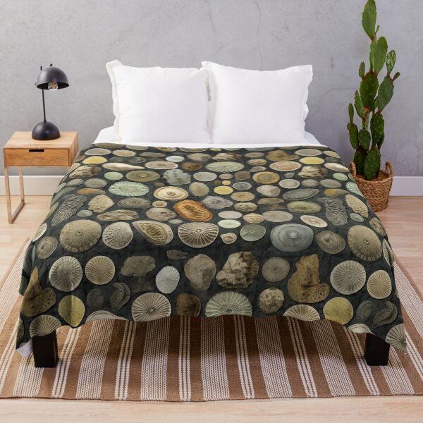 Item preview, Fossil collection I designed and sold by TheLandsOfMagic.