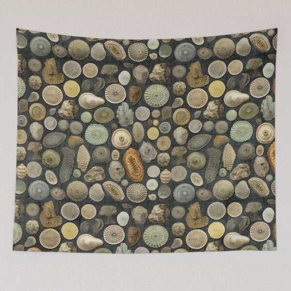 Item preview, Fossil collection I designed and sold by TheLandsOfMagic.