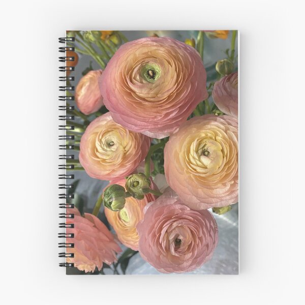 Item preview, Pink Ranunculus designed and sold by Bloom-N-Blossom.