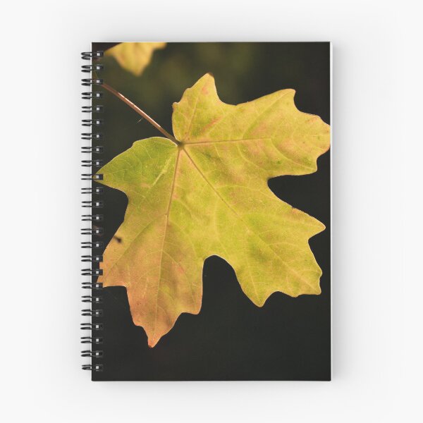 Item preview, Hoja de otoño colorida designed and sold by EACDesign.