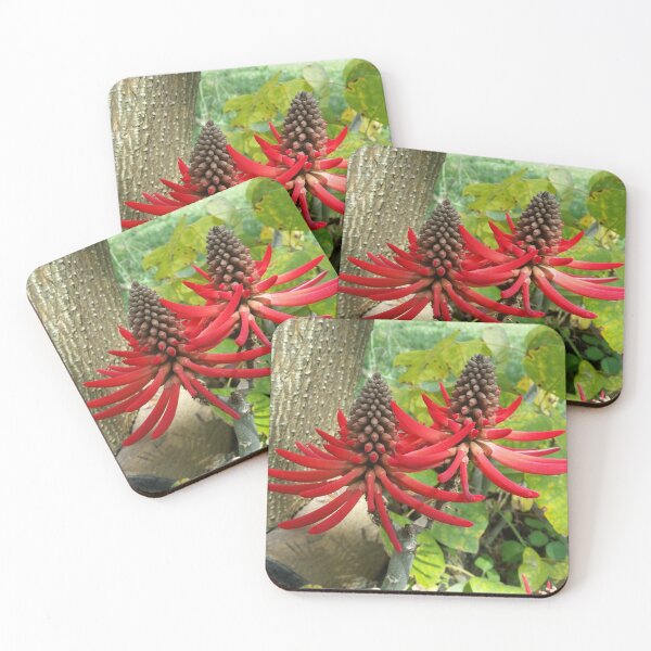 Item preview, Exotic flowers in Prague designed and sold by Fionatravels.