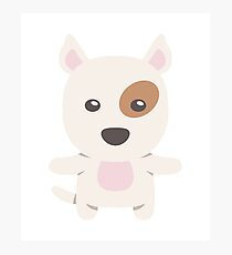 Bull Terrier Photographic Print