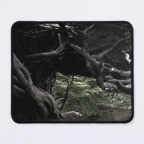 Item preview, Cypress Freeway designed and sold by Wayne King.