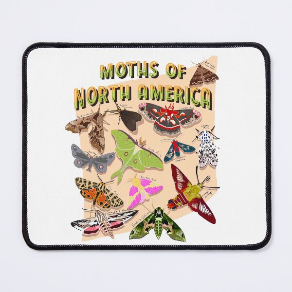 Item preview, Moths of North America (and one cryptid) designed and sold by Deadbirdkitsch.