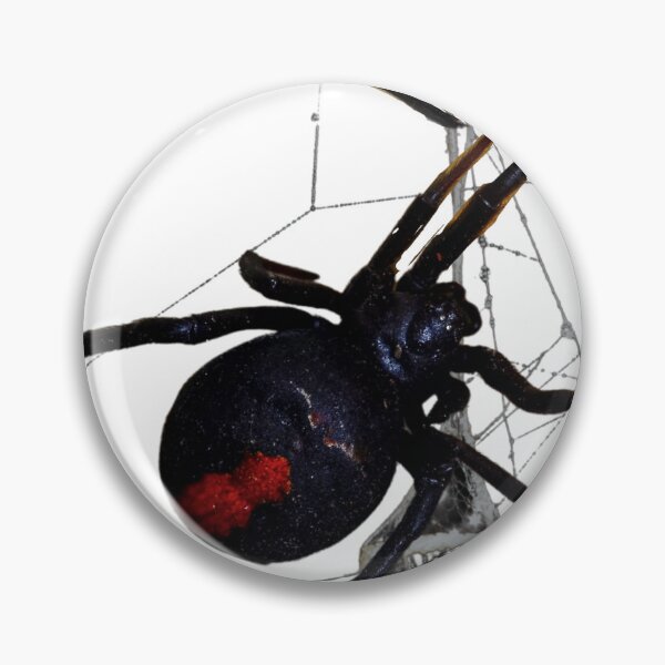 Item preview, Redback Spider - Aussie Arachnid designed and sold by TeeGeeTees.
