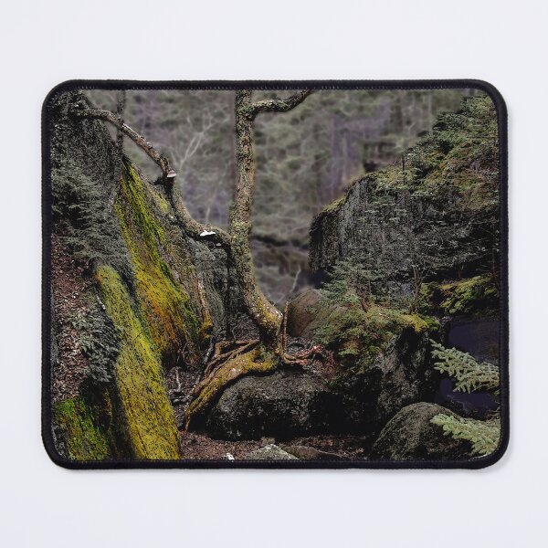 Item preview, The Path to Moose Cave designed and sold by Wayne King.