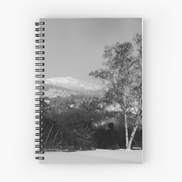 Item preview, Winter Birch Before Rattlesnake designed and sold by Wayne King.