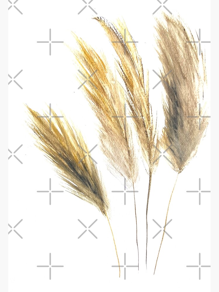 Pampas grass watercolor Poster for Sale by anna0711