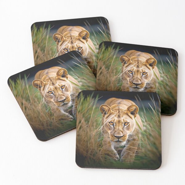 Item preview, Lioness in the Grass designed and sold by CoolCarVideos.