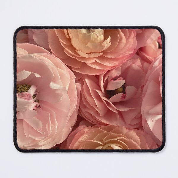 Item preview, Bouquet of Pink Ranunculus designed and sold by Bloom-N-Blossom.