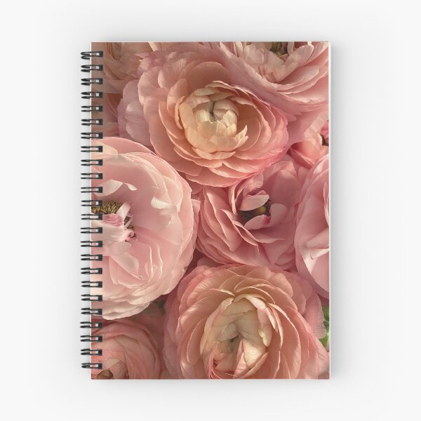 Item preview, Bouquet of Pink Ranunculus designed and sold by Bloom-N-Blossom.