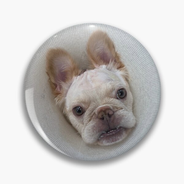 Item preview, Dinky Cone of Shame  designed and sold by pheebert23.