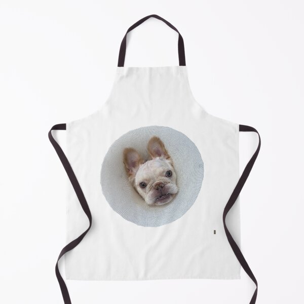 Item preview, Dinky Cone of Shame designed and sold by pheebert23.