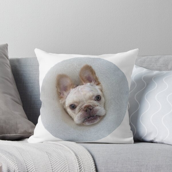 Item preview, Dinky Cone of Shame  designed and sold by pheebert23.