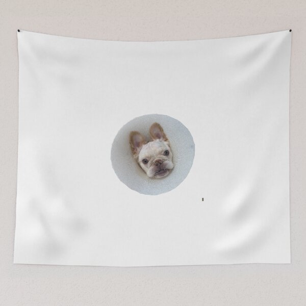 Item preview, Dinky Cone of Shame  designed and sold by pheebert23.