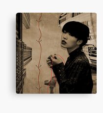 Mirror, mirror Canvas Print