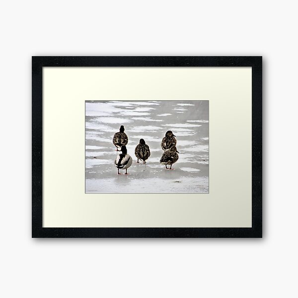Didn't I Say We Should Bring Ice Skates? Framed Art Print