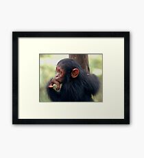 Little Girl Framed Print