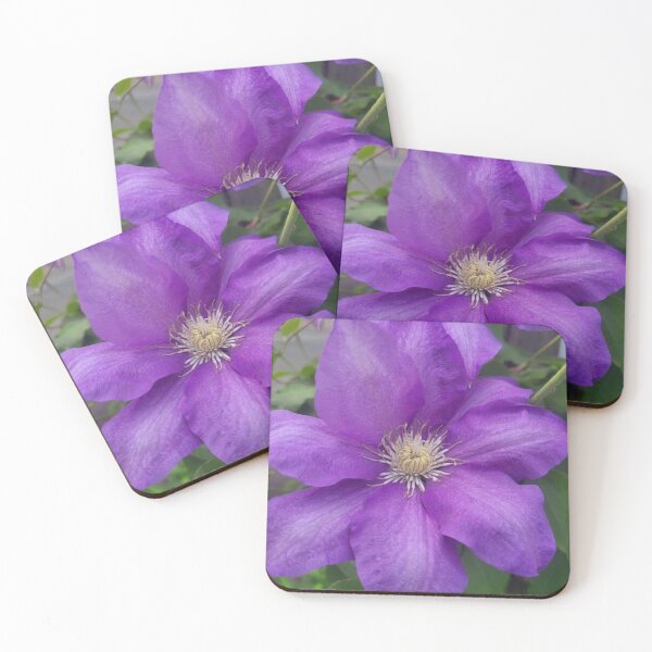 Item preview, Purple Clematis flower Blossom  designed and sold by artbymurray.