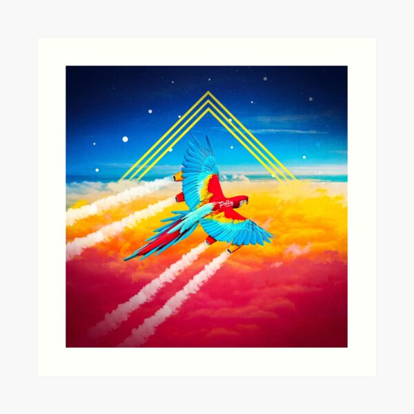 Parrot-glider Art Print