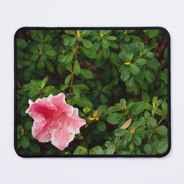 Item preview, A Spot of Color designed and sold by DyrneSefa.