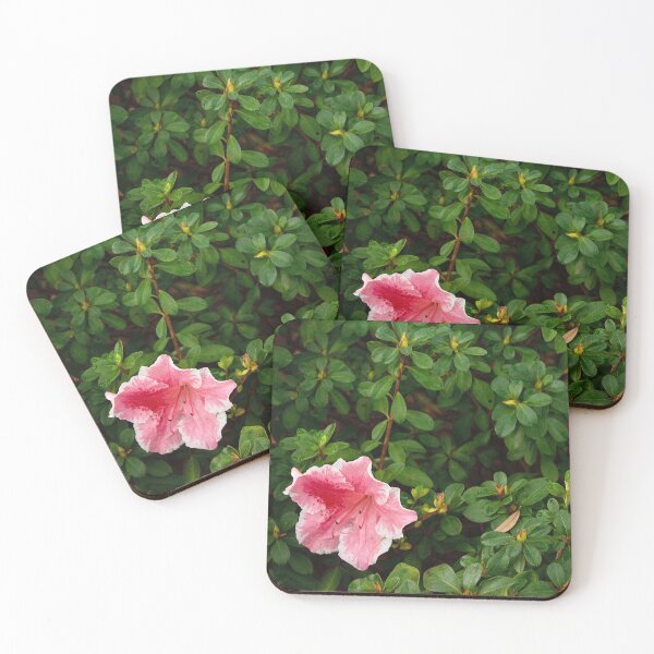 Item preview, A Spot of Color designed and sold by DyrneSefa.